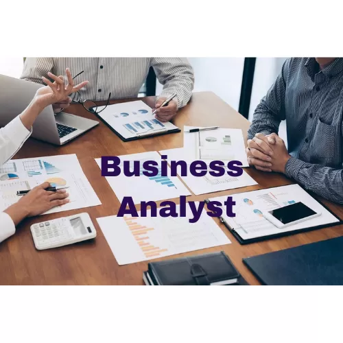 Professional Business Analyst for Your Project or Business Needs