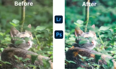 Do bulk photo retouching editing in lightroom and photoshop