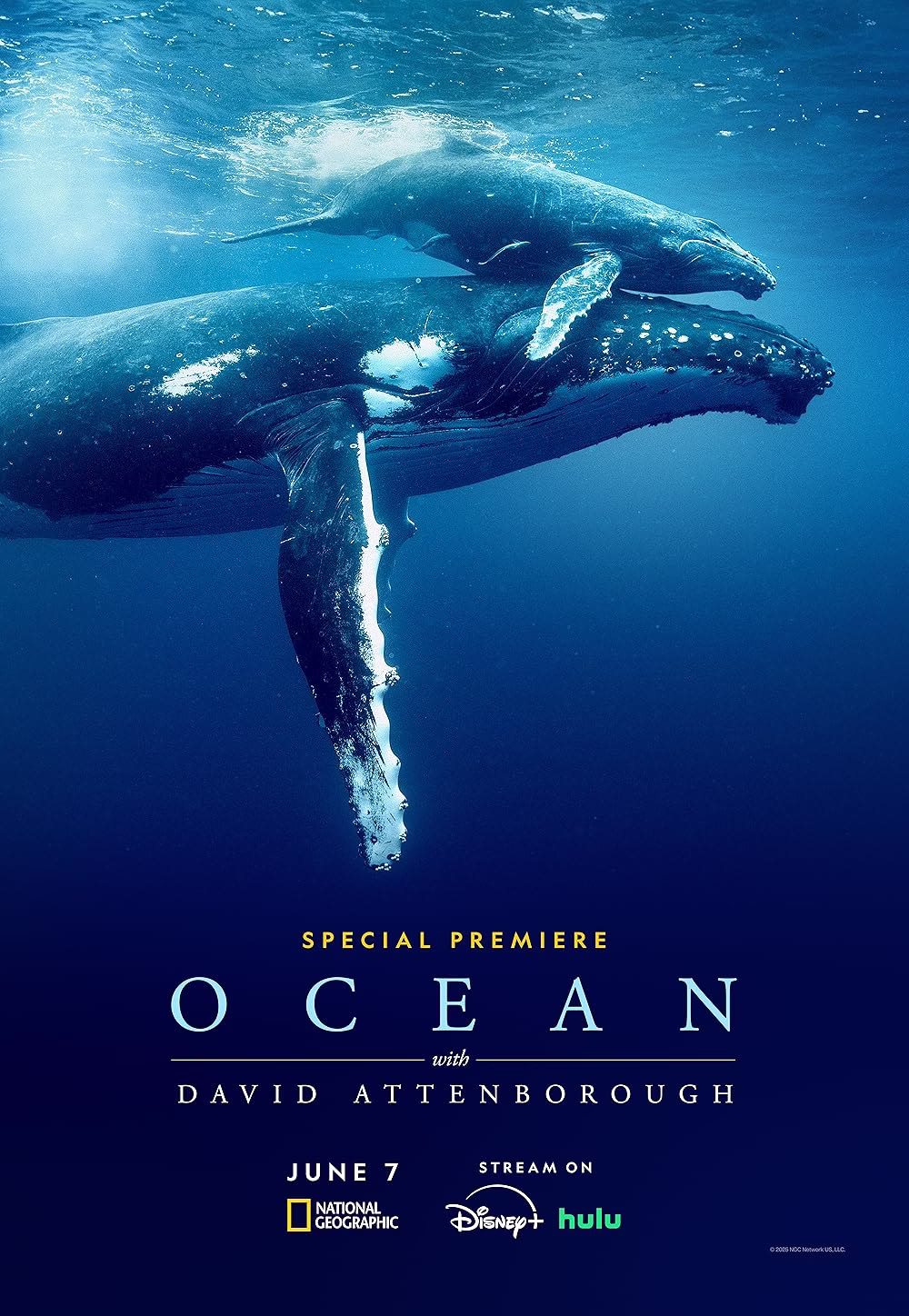Ocean with David Attenborough (2025) Sinhala Subtitles