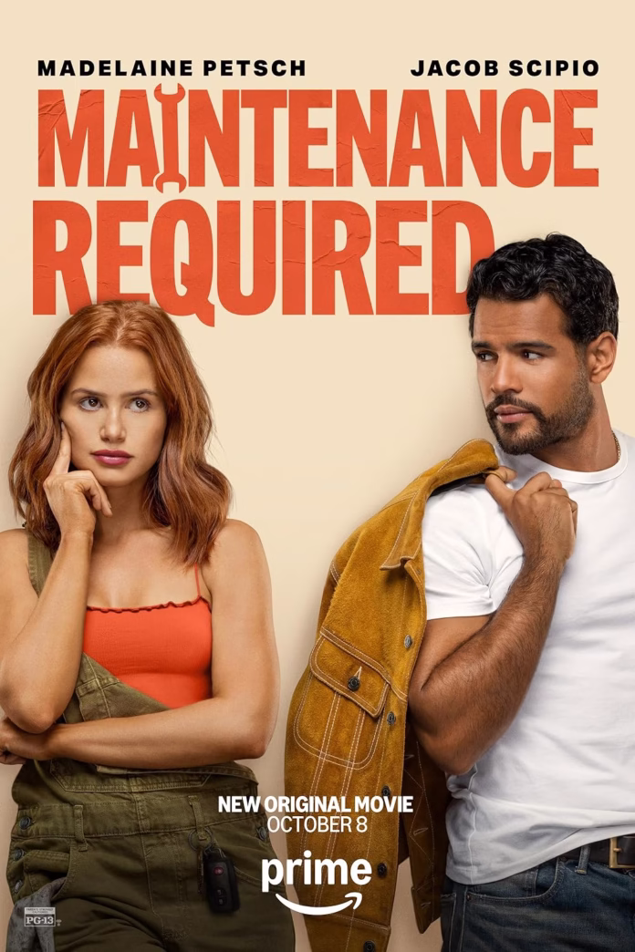 Maintenance-Required-2025-OIO.LK